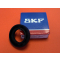 Watertight ball bearing+SKF high quality spring drive flange dust guard Scramble